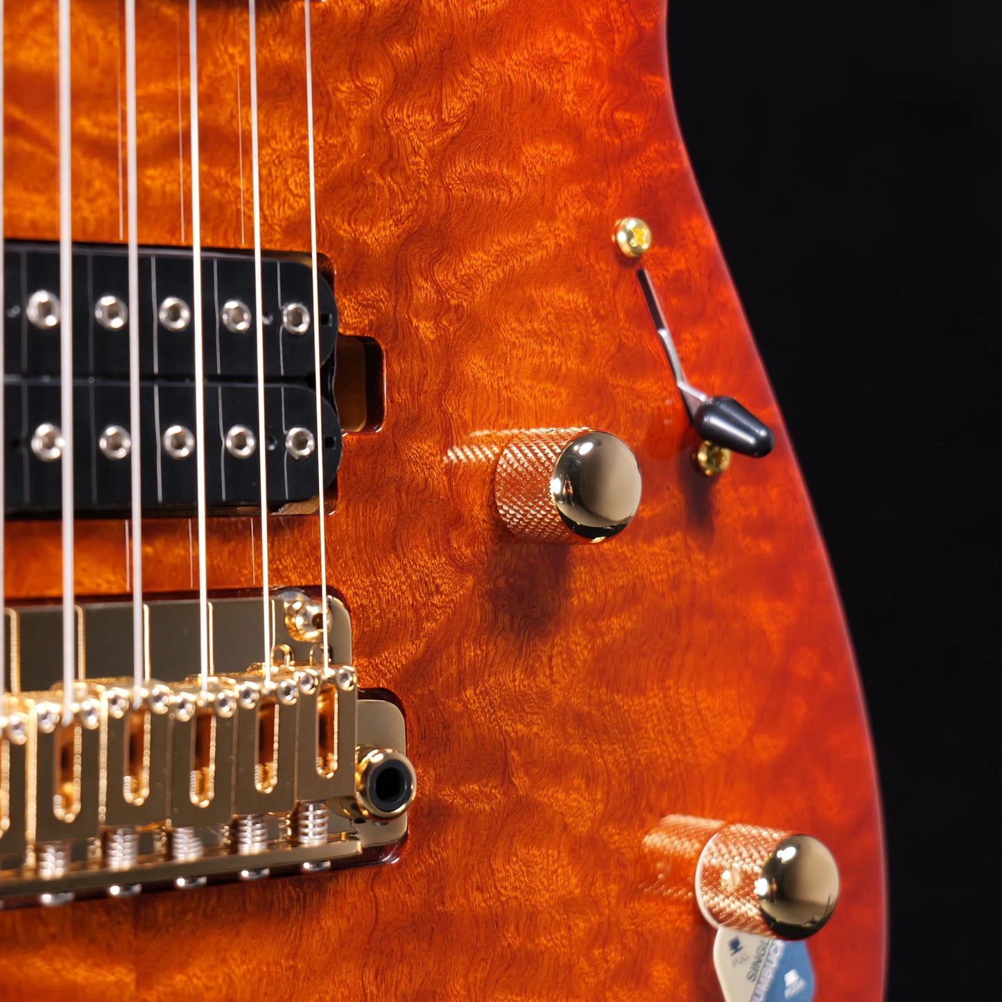 PD-Master Pegasus 10th NA swamp ash QS - Body2