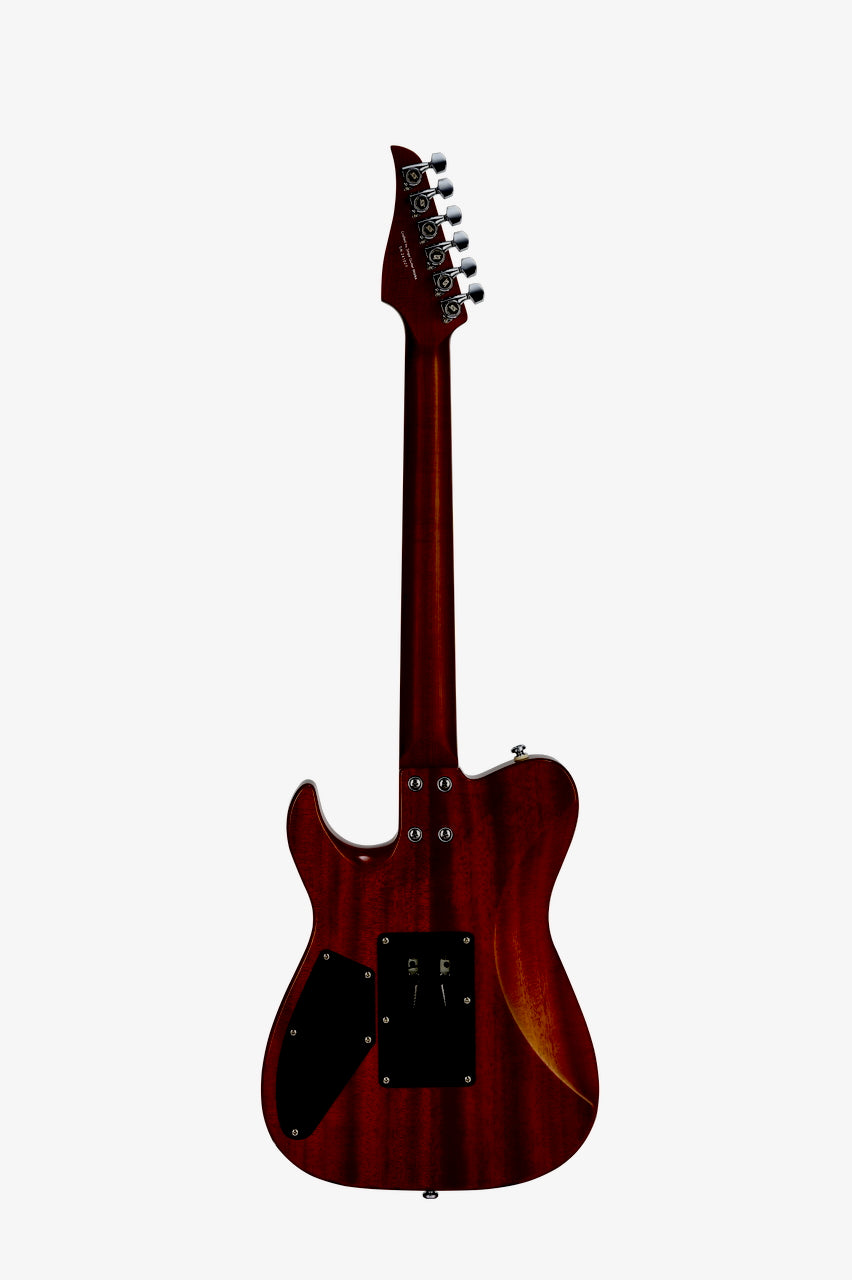 PD TLM - Back