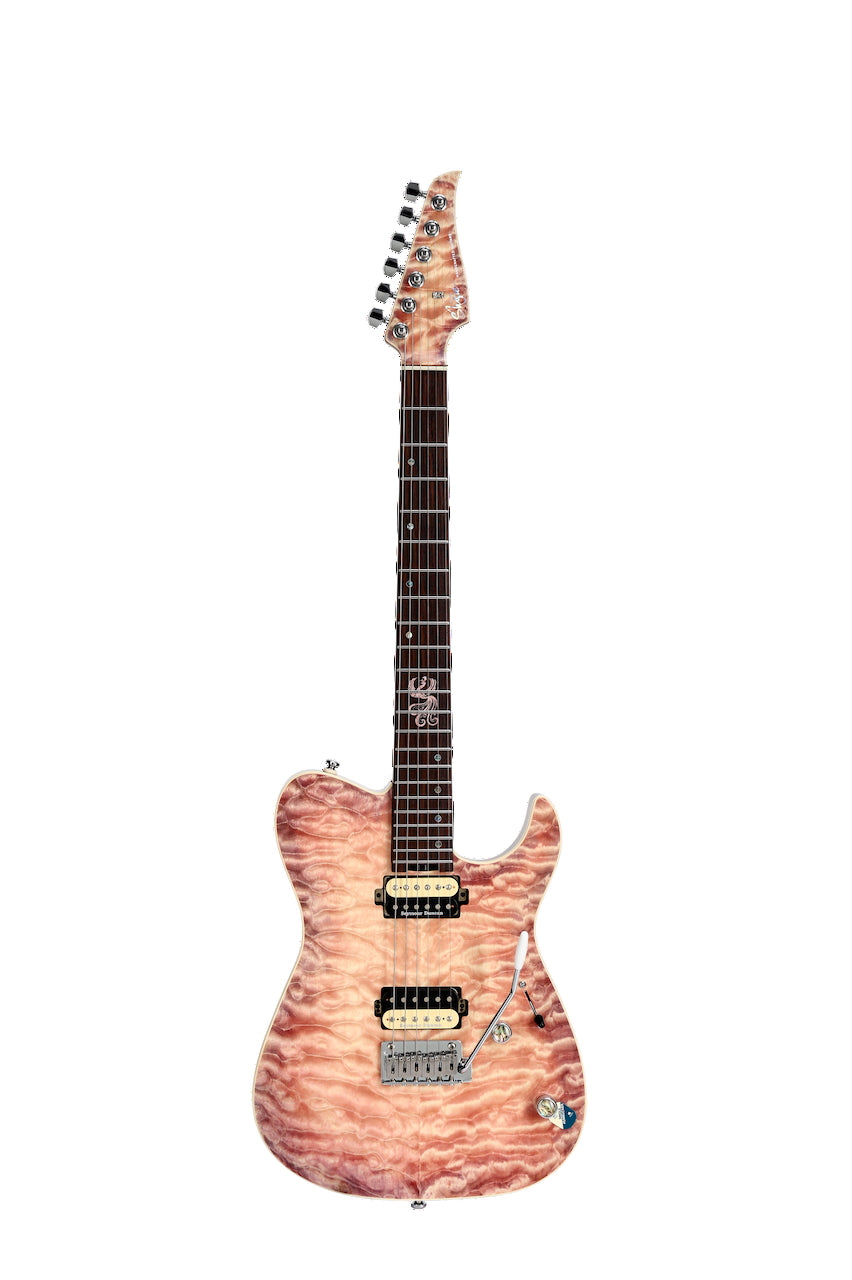 PD-TLM