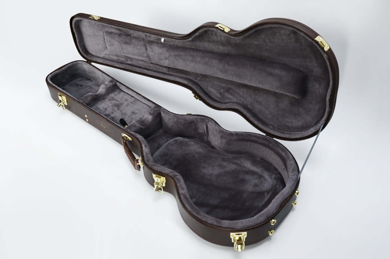 Shijie LPV guitar hard case
