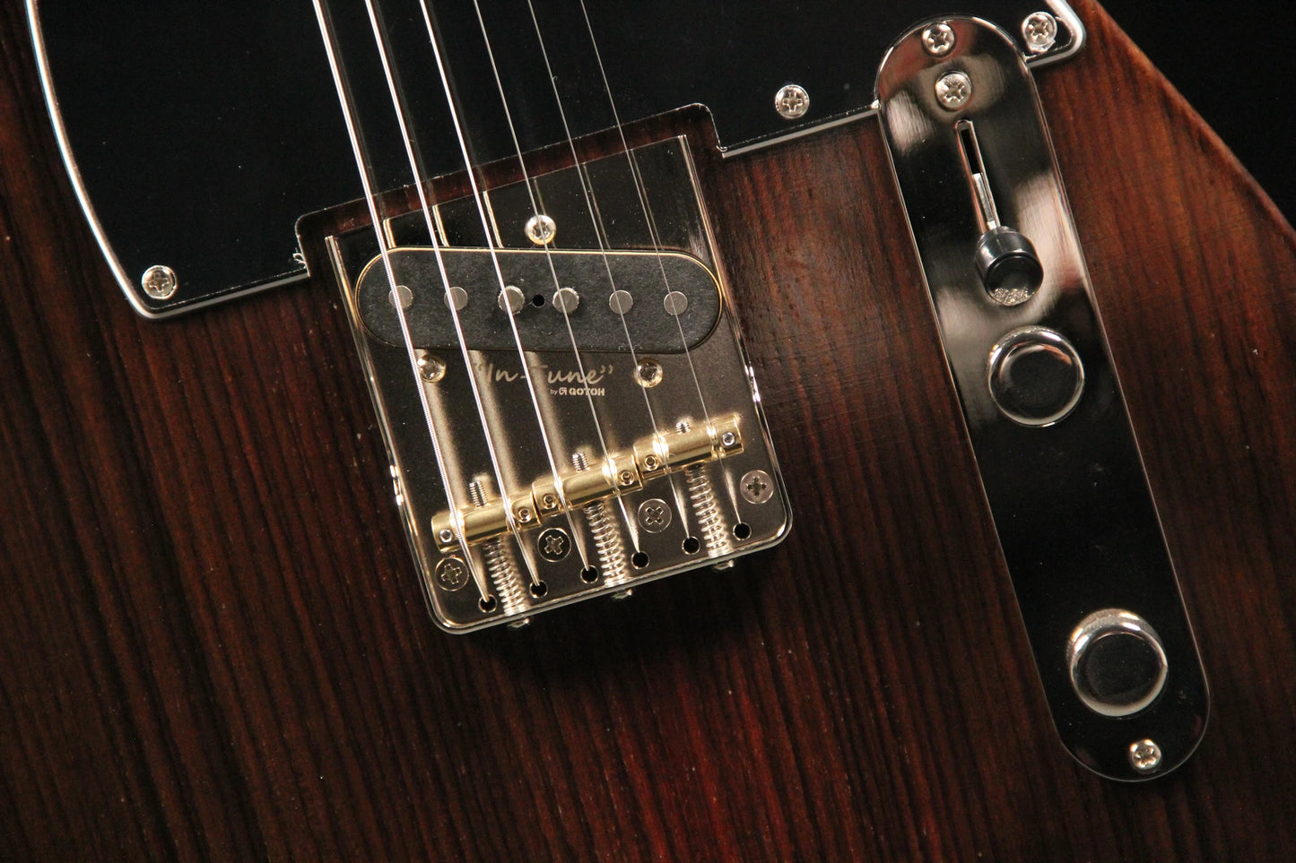 TLV-MASTER 10th Anniversary-Rosewood Top - Knobs