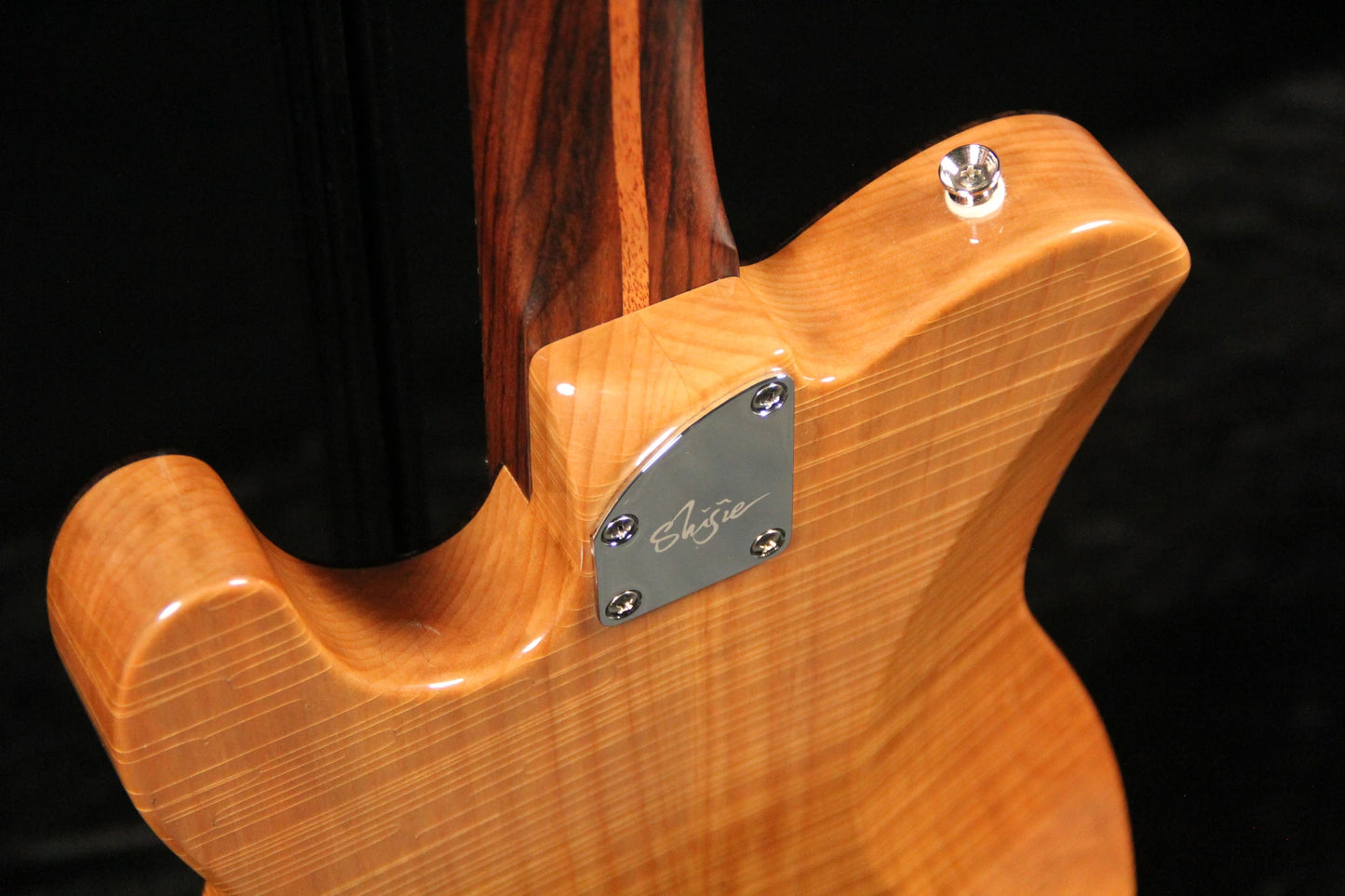 TLV-MASTER 10th Anniversary-Rosewood Top - Body 5