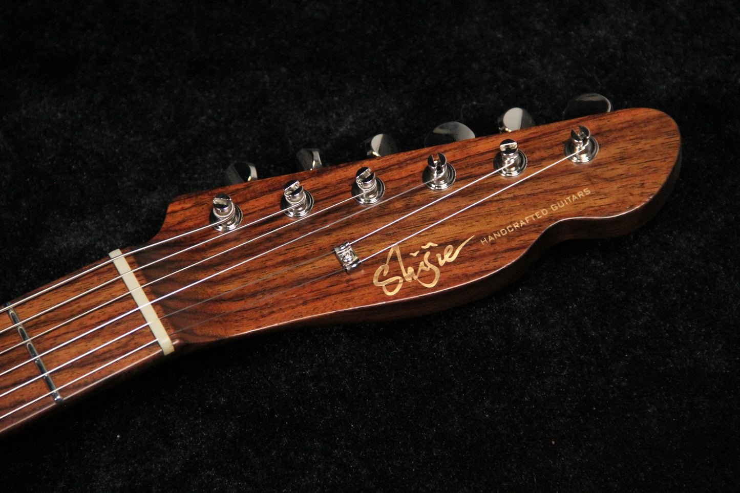TLV-MASTER 10th Anniversary-Rosewood Top - Headstock