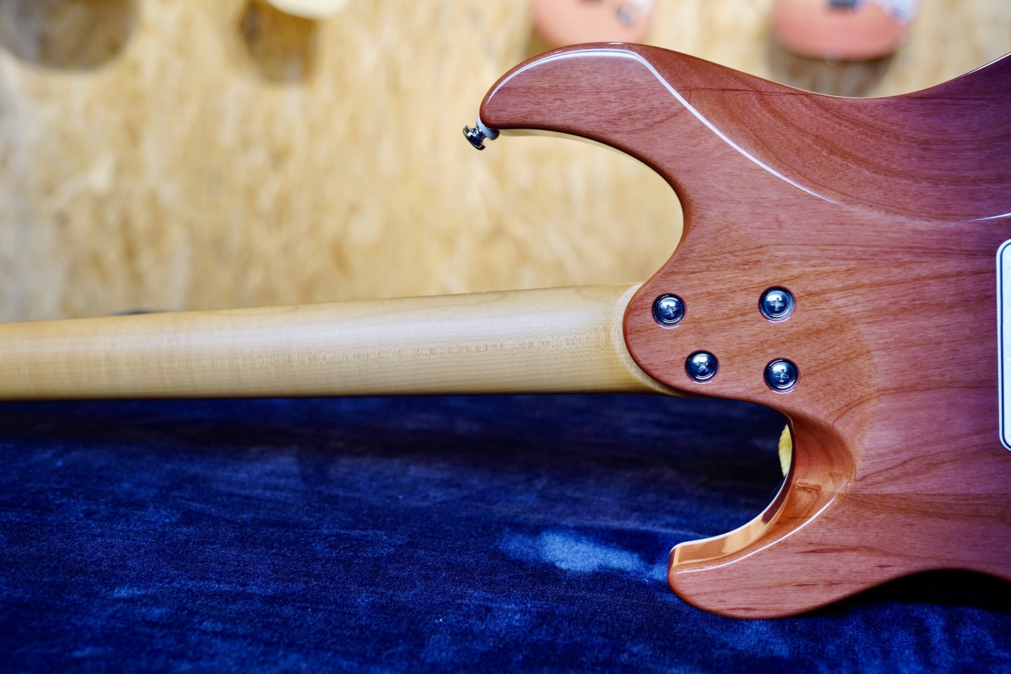 Shijie TM-4 Maple Neck Back 1