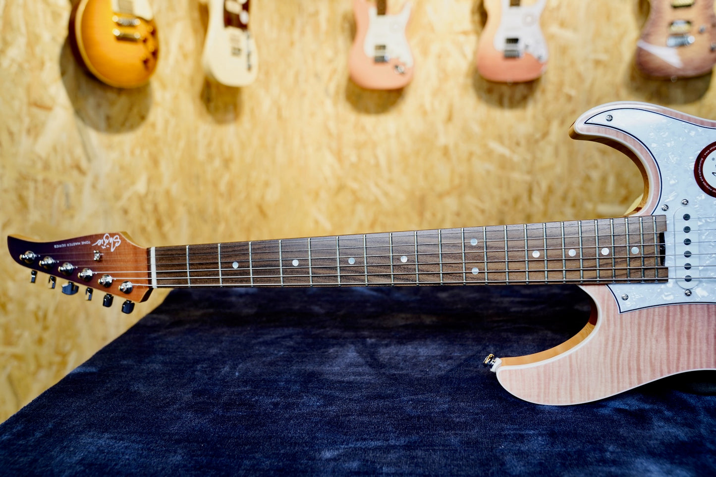 Shijie TM-4 Rosewood Fingerboard 1