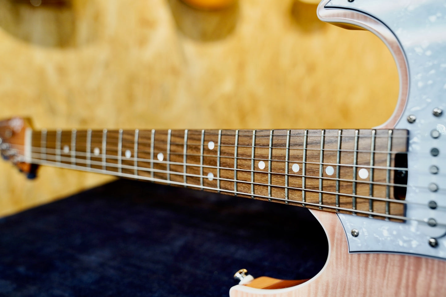 Shijie TM-4 Rosewood Fingerboard 2