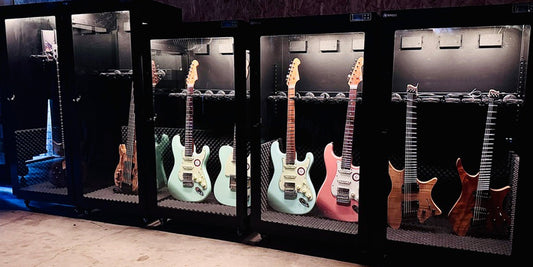 Naboxsun Guitar Dry Cabinets Dealership