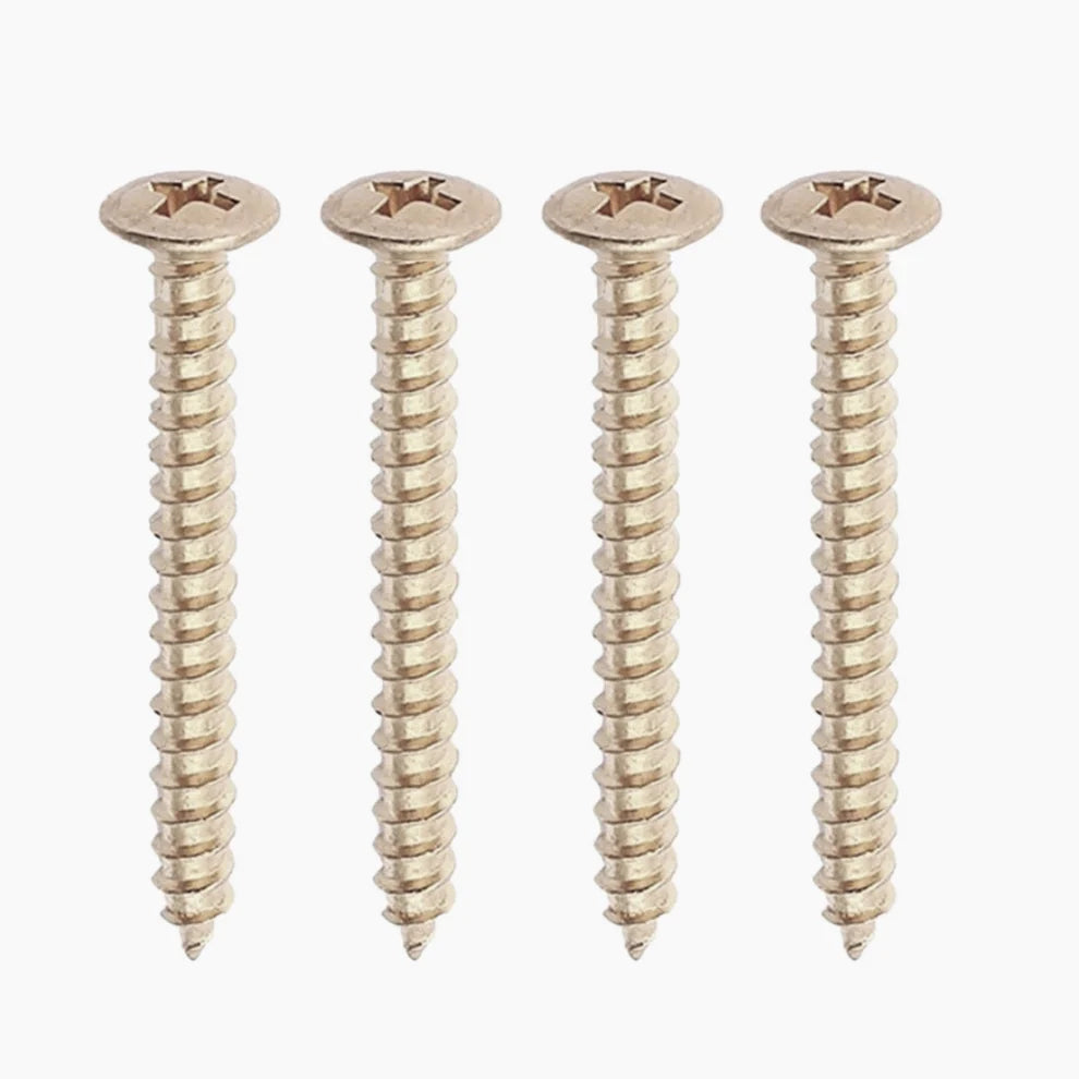Allparts GS-0005 stainless steel neckplate screw for guitar