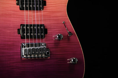 PD-Master Pegasus 10th purple pink mahogany FM - Knobs