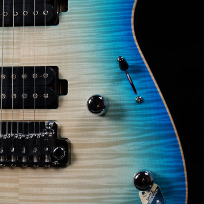 PD-Master Pegasus 10th blueberry mahogany FM - Knobs