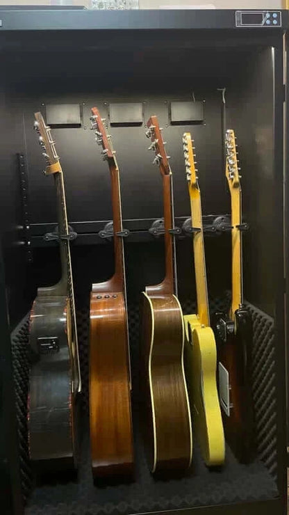 Dry Cabinet CDD-400 with acoustic and electric guitars