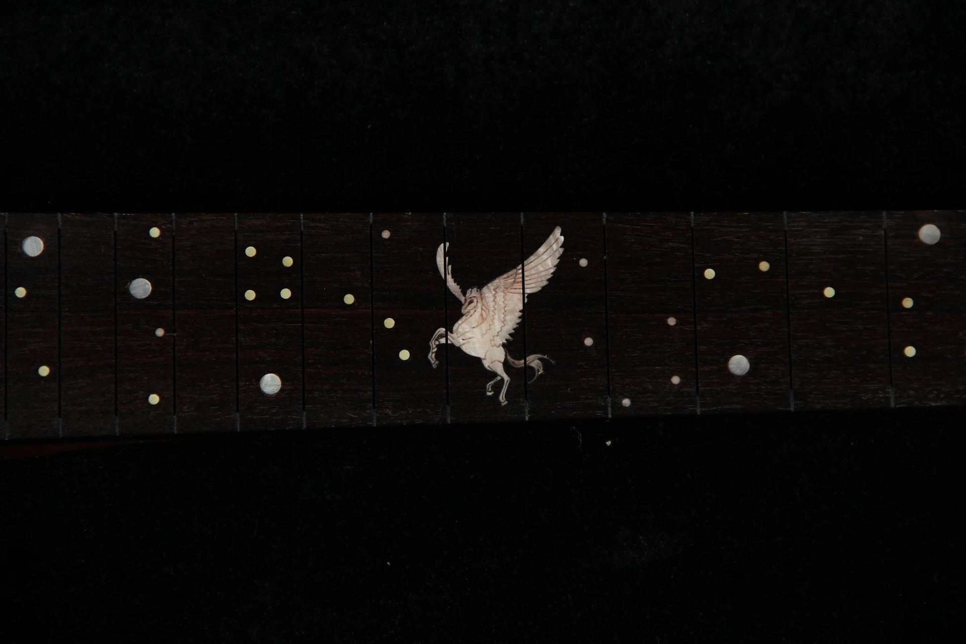 PD-Master Pegasus 10th Gradual Blue mahogany FM - Inlay
