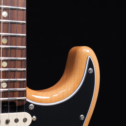 STE-Master 10th one piece alder & rosewood neck - Body 2
