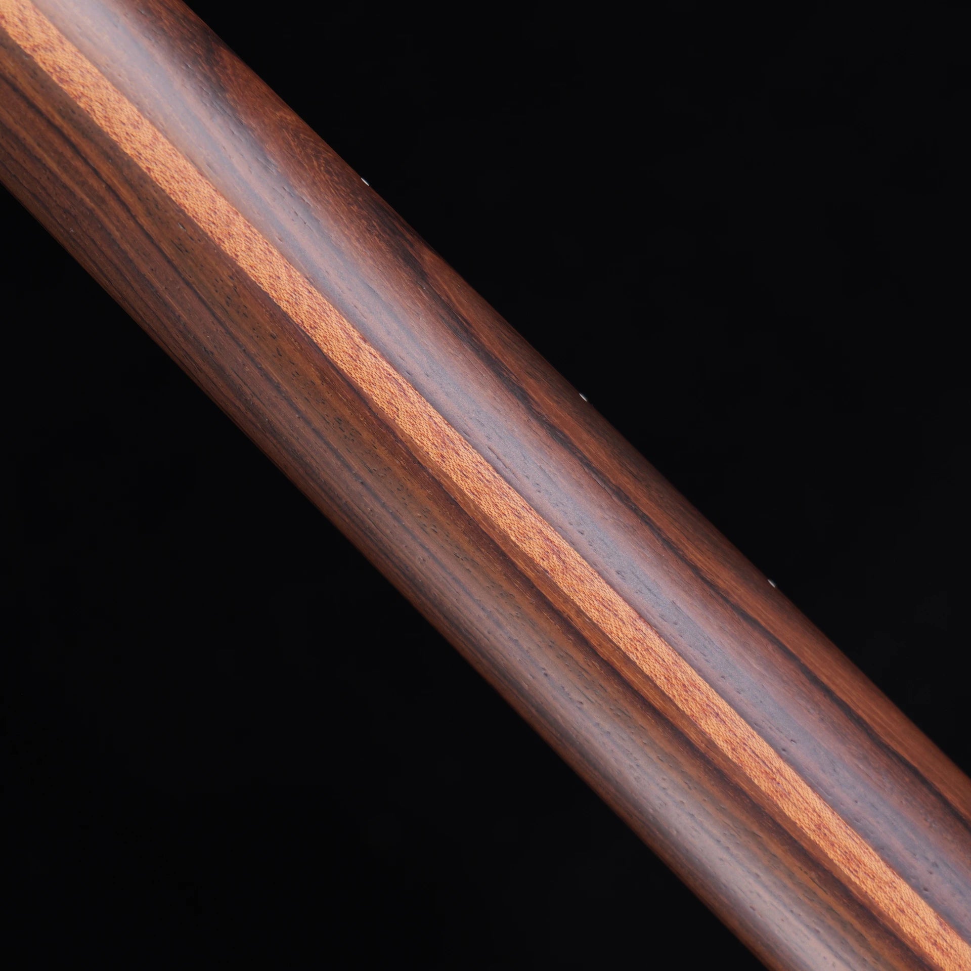STE-Master 10th one piece alder & rosewood neck - Back 
