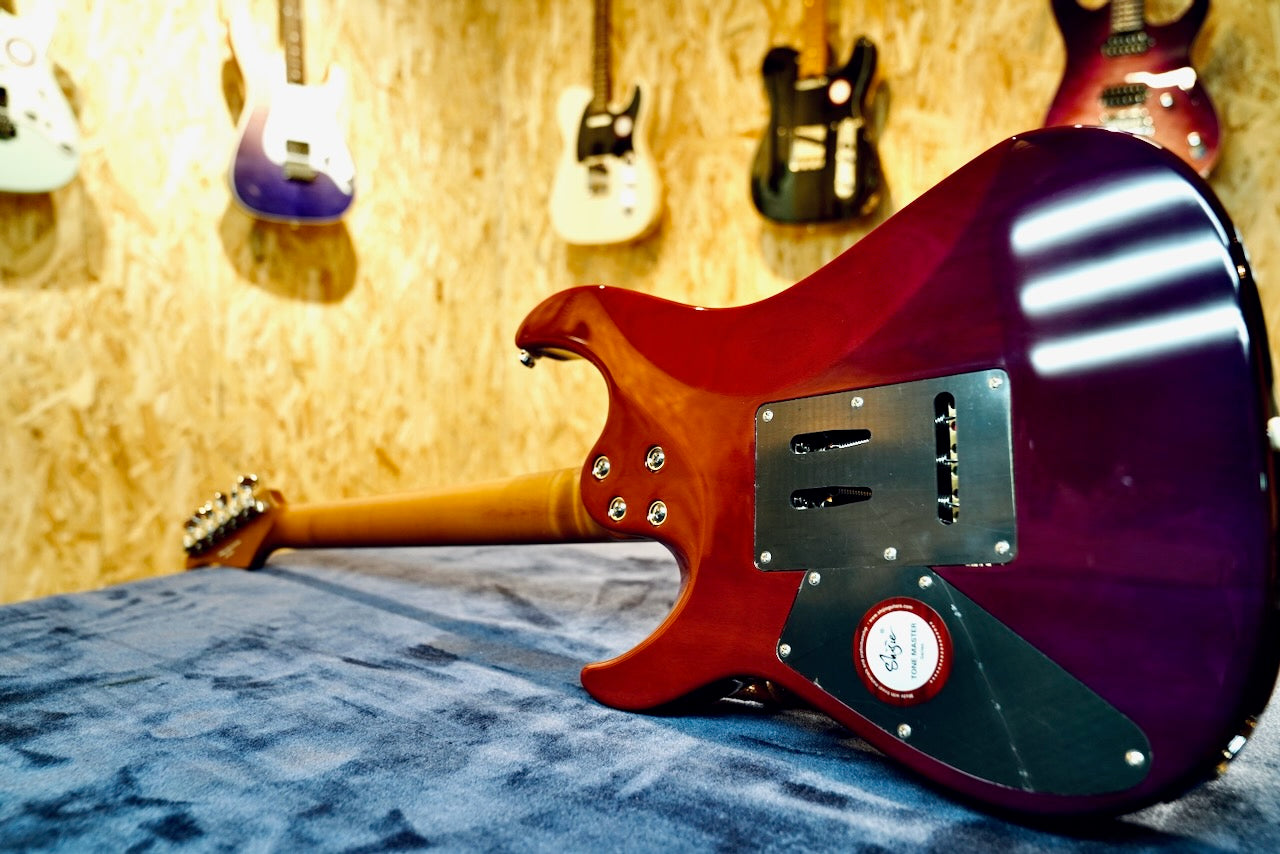 Shijie TM 5 - Full Body Back