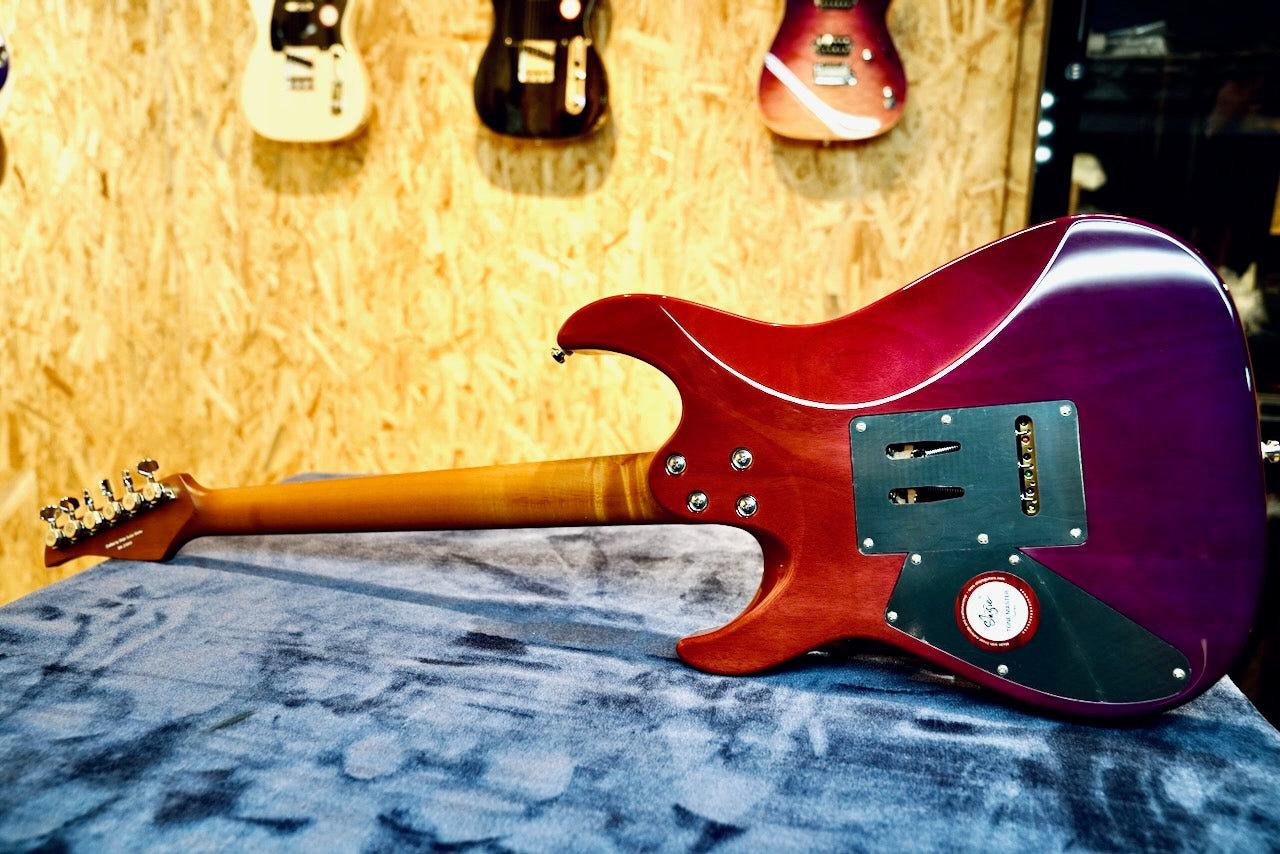 Shijie TM 5 - Full Body Back