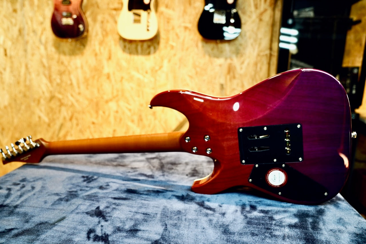 Shijie TM 5 - Full Body Back